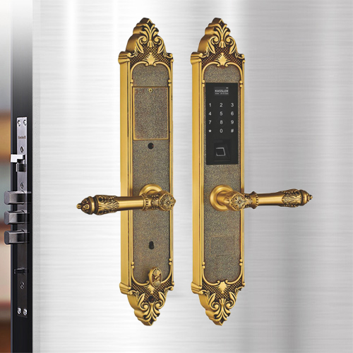 Khóa cửa đại sảnh